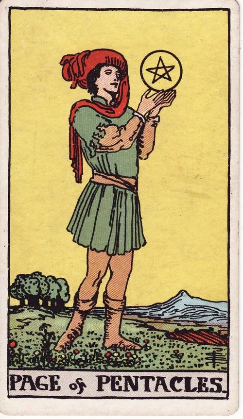 ペンタクルのペイジ（Page of Pentacles）のカード