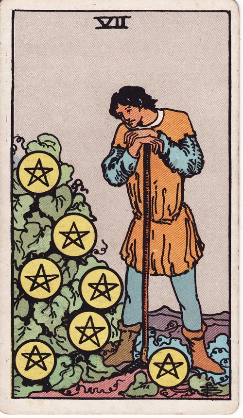 ペンタクルの7（Seven of Pentacles）のカード