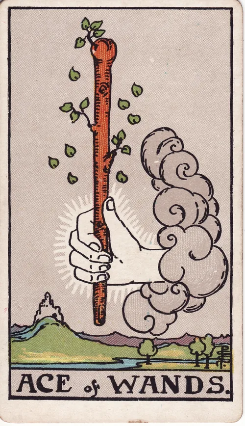 ワンドのエース（Ace of Wands）のカード