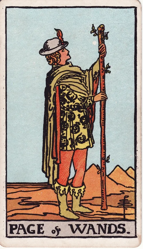 ワンドのペイジ（Page of Wands）のカード